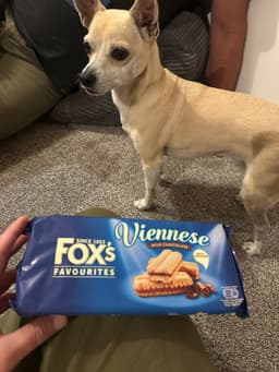 Evidence: Fox’s Viennese Fingers