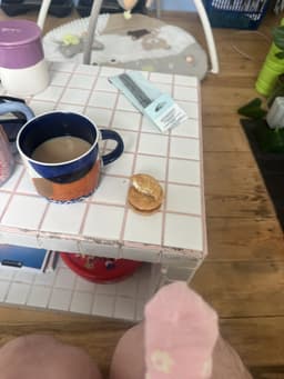 Evidence: Fox’s Crunch Creams